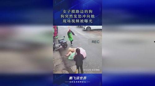 爆料发怒的视频,一场网络风波的发酵与反思